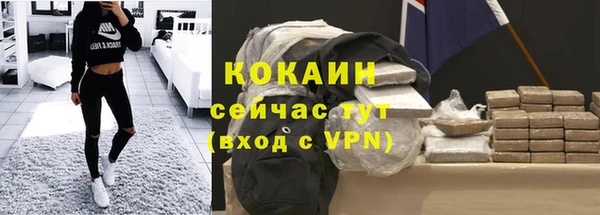 шишки Балахна