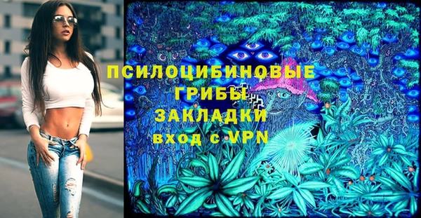шишки Балахна