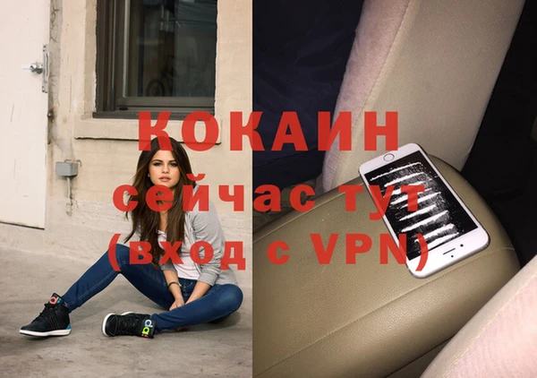 шишки Балахна