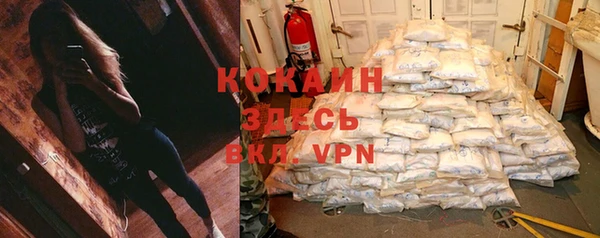 шишки Балахна