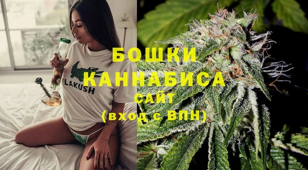 шишки Балахна